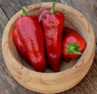 เมล็ดพันธุ์พริกหวานอิตาเลียน Italian Sweet Pepper บรรจุ 30 เมล็ด ของแท้ คุณภาพดี ราคาถูก นำเข้าจากต่างประเทศ