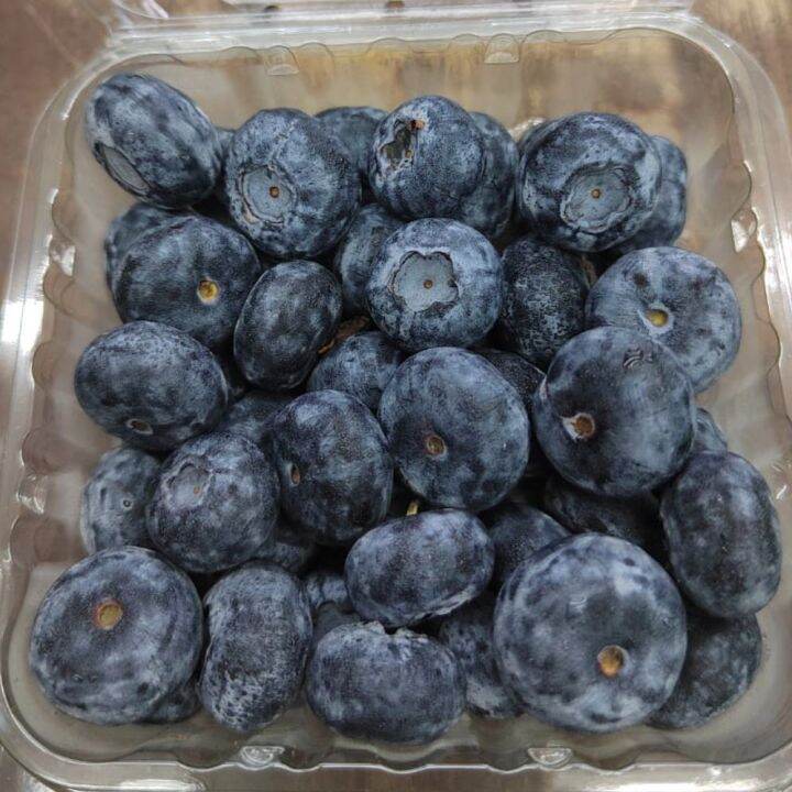 Blueberry, Fresh SA Jumbo size Blueberries 125g±/200g± Lazada