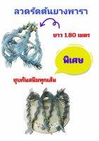 (แพคละ60เส้น)ลวดรัดต้นยางพารา ความยาว 1.80 เมตร (พิเศษ ชุบกันสนิมทุกเส้น) แข็งแรงทนทาน ใช้งานยาวนานหลายปี