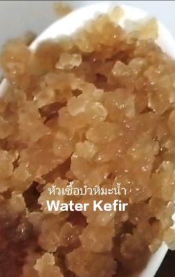 คีเฟอร์น้ำ#water kefir ขนาด50 กรัม + นำ้หมักพร้อมดื่ม​ ขนาด​300​กรัม