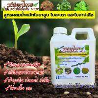 แกลลอน 1.2 ลิตร สะเดาไทย หัวเชื้อน้ำส้มควันไม้แบบเข้มข้น 100% สูตรผสมน้ำหมักใบยาสูบ ใบสะเดา และใบสาปเสือ กำจัดหนอน กำจัดแมลง