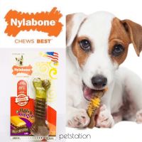 Nylabone Power Chew ของเล่นขัดฟัน รส Philly Cheesesteak