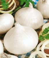 เมล็ดพันธุ์หัวหอมหวานสเปนสีขาว (White Sweet Spanish Onion Seed) บรรจุ 100 เมล็ด ของแท้ คุณภาพดี ราคาถูก นำเข้าจากต่างประเทศ