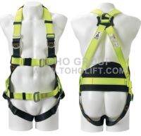 ชุดนิรภัยแบบเต็มตัว (Harness) รุ่น TH50602