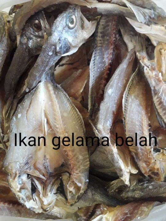 ikan kering gelama belah ori kelantan 100g ++ | Lazada