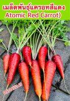 เมล็ดพันธ์ุแครอทสีแดง(Atomic Red Carrot)เมล็ดแท้สีสวย