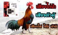 เสียงไก่ป่าตัวผู้ เสียงใสเข้าดี มีบริการเก็บปลายทาง