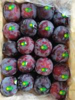 ลูกไหน (PLUMS) (1kg)พร้อมส่ง✅