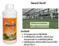 โฟแมกซ์ สังกะสี 700 ป้องกันอาการใบแก้ว กระตุ้นการแตกตา ขนาด 1 ลิตร โซตัส