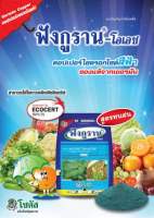 ฟังกูราน-โอเอช 1 กก. คอปเปอร์ฟ้า ป้องกันกำจัดโรคพืชที่เกิดจากเชื้อราและแบคทีเรีย สูตรทนฝน