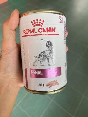 Royal canin renal อาหารกระป๋องสำหรับสุนัขโรคไต