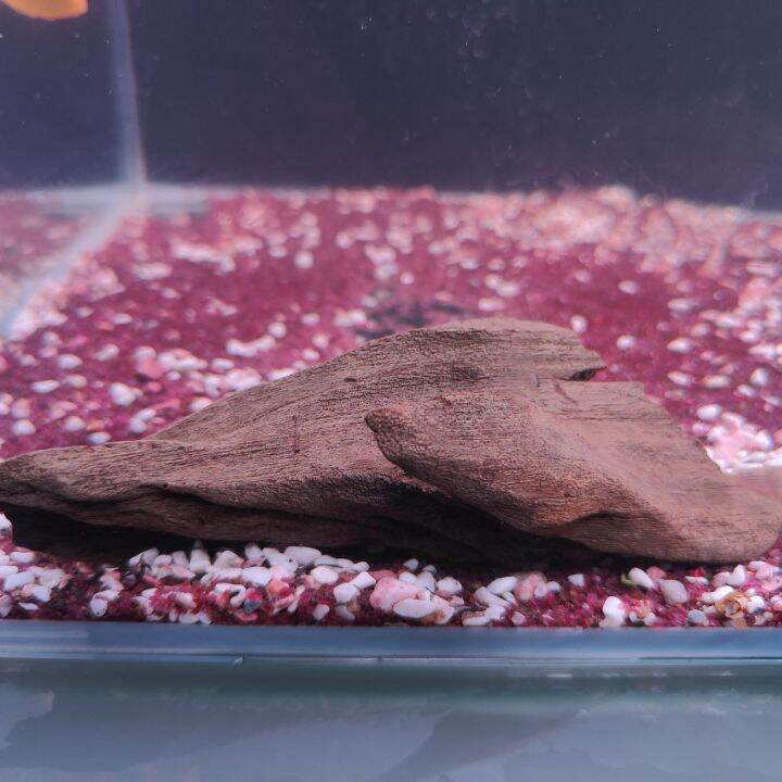 wood Lazada Buy sell online Aquariums with cheap price Lazada