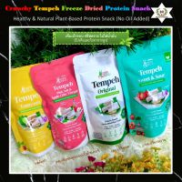 เทมเป้กรอบฟรีสดรายเจเพื่อสุขภาพ (Healthy Vegan &amp; Crunchy Tempeh Freeze-Dried Protein Snack) อร่อย ไม่ใส่น้ำมัน โปรตีนและไฟเบอร์สูง