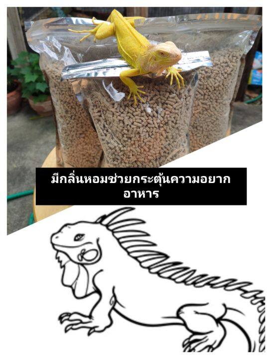 อาหารอีกัวน่า-สูตร-1-สูตรกินพืช-100