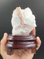 ? พิงค์ ทัวร์มาลีน และควอตซ์ ก้อนดิบธรรมชาติ บนฐานไม้ตั้งโชว์
? ( Pink Tourmaline on Quartz )

? เป็นอีกหนึ่งไอเท็มที่น่าสะสมเพราะสีอ่อนๆน่ารักชมพูบนควอตซ์ผลึก
? น้ำหนัก 762 กรัม รวมฐาน
? ขนาดความสูงประมาณ 14 cm รวมฐาน
?