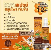 สเปรย์พ่นคอ เคโอริช ? KO Rich Propolis Mouth Spray? 20 ml.