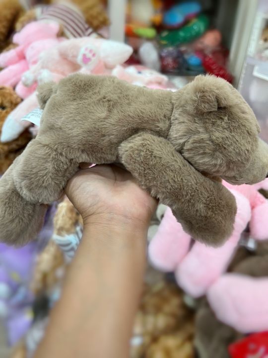 ตุ๊กตาหมี-teddy-ตุ๊กตา-bear-ไซบีเรียน-ตุ๊กตา30cmพร้อมส่งจากไทย
