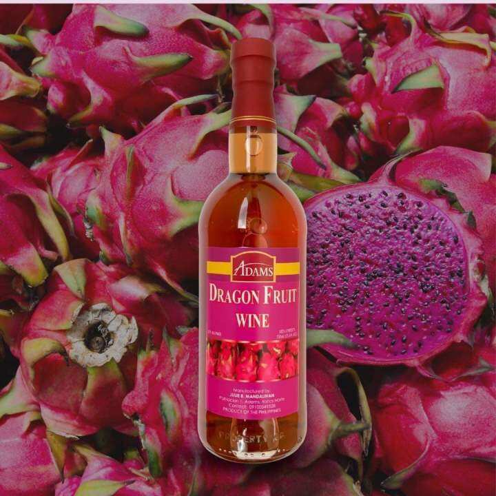 Dragon Fruit Wine | Lazada PH