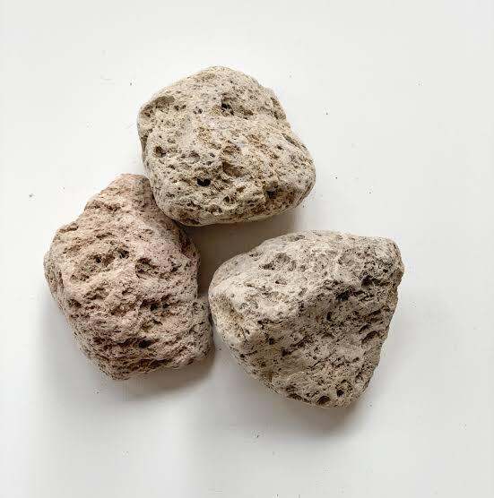 BATU APUNG PUMIS PUMICE MEDIA FILTER AIR AQUARIUM Lazada Indonesia