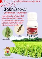 ริดอิท - ขนาด 250 ซีซี. กำจัดหนอนม้วนใบ หนอนกัดใบข้าว หนอนใยผัก หนอนเขียว เพลี้ยไฟ ยาหนอน