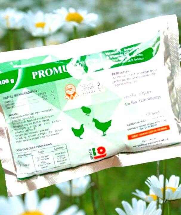 Vitamin Ayam vit E Selenium vit C untuk Ayam Petelur Bebek Petelur