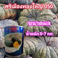 ?เมล็ดพันธุ์ฟักทองลูกผสมศรีเมืองทองใหญ่ 050 เนื้อ เหนียว มัน ขนาด 100 กรัม ขนาด 5-7 กก(ส่งฟรี)