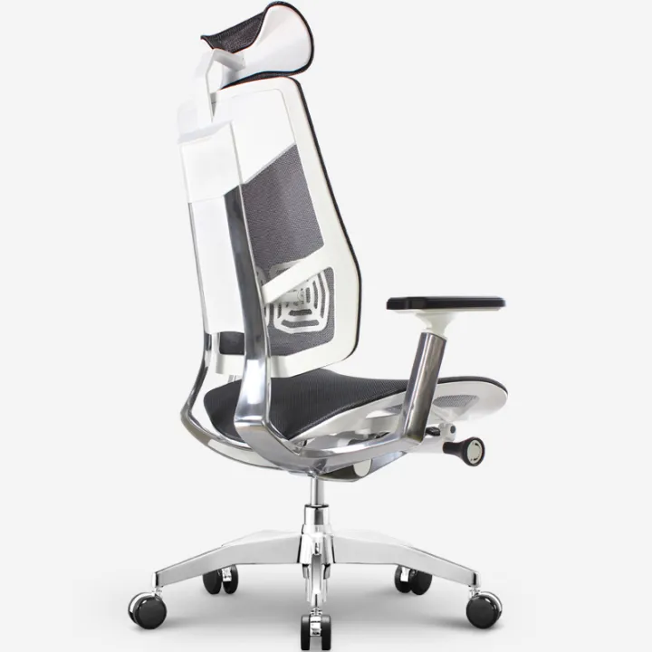 Junior High School Students MultiFunctional Study Chair Teenager