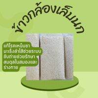 ข้าวกล้องเล็บนกปัตตานี ??ข้าวพื้นเมืองภาคใต้ ประโยชน์เยอะ ปลูกแบบอินทรีย์ 2กิโลกรัม