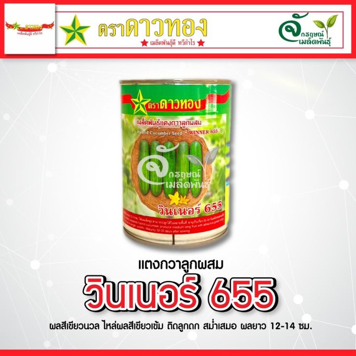 เมล็ดพันธุ์แตงกวา-วินเนอร์-655-ตราดาวทอง-ขนาด-100-กรัม