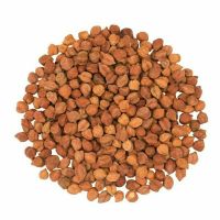 Kala Chana, Black Chickpeas  (ถั่วลูกไก่เม็ดสีน้ำตาล) 500g.