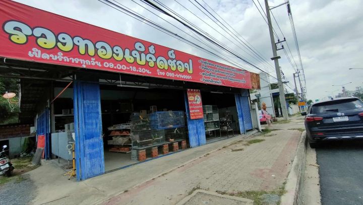 ถ้วยดินเผาใส่อาหารสัตว์-นก-หนู-ตามขนาดเพื่อสัตว์แต่ละขนาดและชนิด