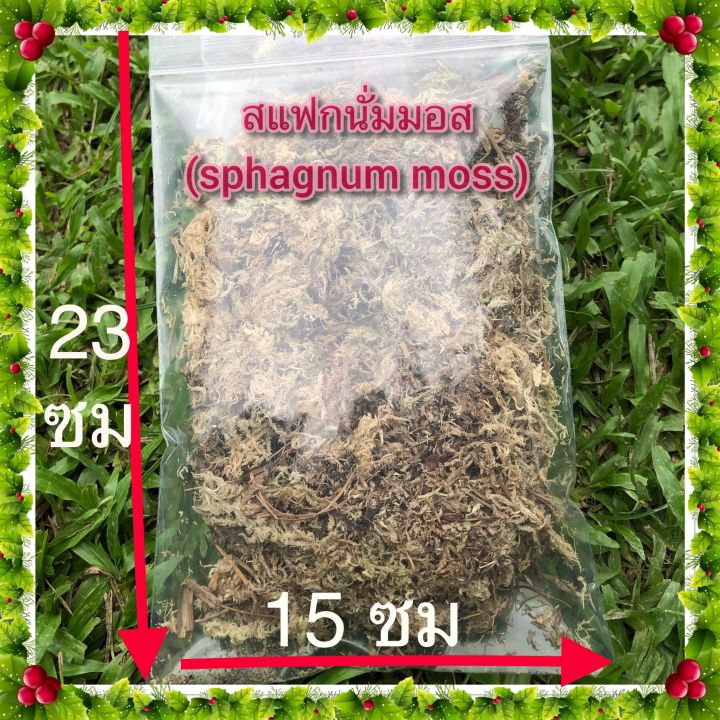 สแฟกนั่มมอส-sphagnum-moss-แบ่งขาย-เกรดพิเศษ-เนื้อสวย