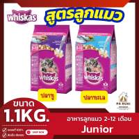 Whiskas Junior 1.1kg. วิสกัส อาหารแมวชนิดแห้ง แบบเม็ด สูตรลูกแมวอายุ 2-12 เดือน(Pa Ruai)