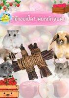 (MMPetShop) ไม้แอปเปิ้ล ?พันหญ้า ขนาดใหญ่