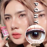 Pony pola brown บิ๊กอายส์ลายฮิต Biegey-คอนแทคเลนส์คละแบรนด์ค่ะ