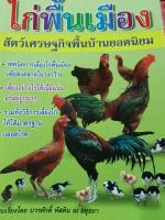 หนังสือคู่มือการเลื้ยงไก่พื้นบ้านสัตว์เศรษฐกิจ