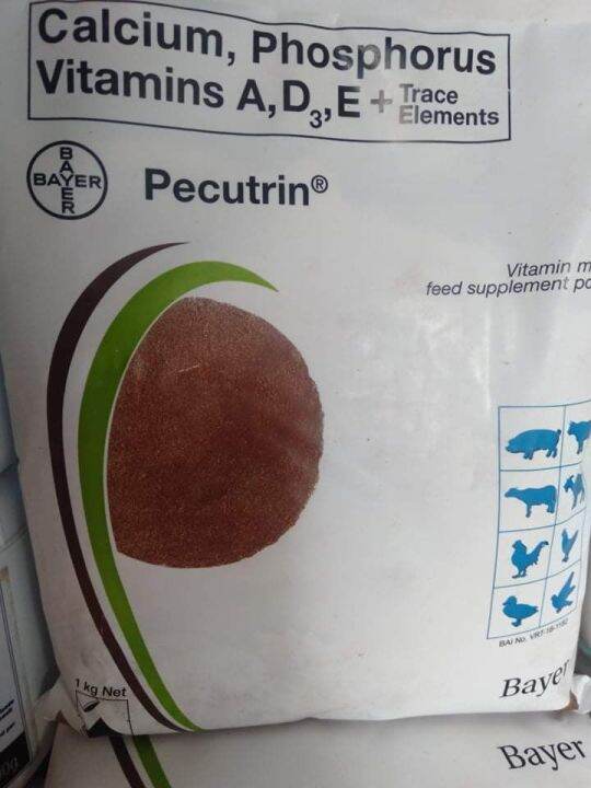 BAYER PECUTRIN 500 GRAMS REPACKED FOR POULTRY AND PIGEONS Lazada PH