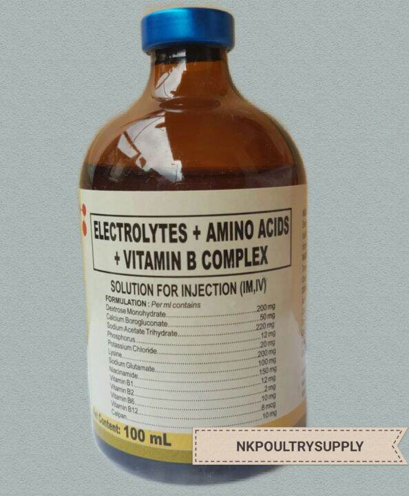 Electrolytes + Amino acid + Vitamin b complex 100ml Lazada PH