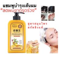 Ginger Scalp Shampoo แชมพูขิงบำรุงเส้นผมหนังศรีษะ พร้อมส่งในไทย