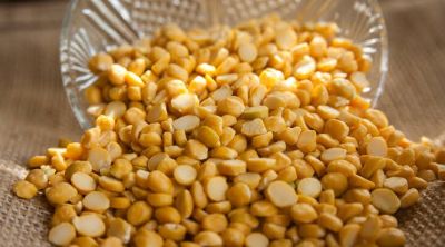 Chana dal Indian products only 500gm packing premium quality pulses