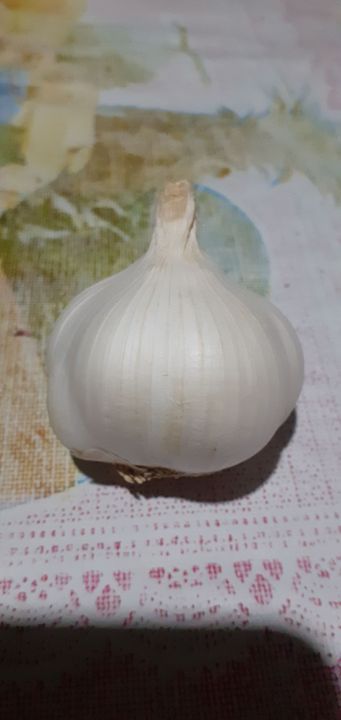 Bawanggarlic Per Kilo Lazada Ph 