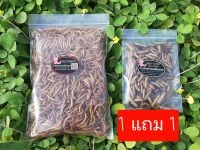 อาหารเสริมสัตว์เล็ก-หนอนนกอบแห้ง ขนาด 100 กรัม Dried Mealworms (คัดอย่างดี ไม่ปรุ่งแต่งสีและกลิ่น) อบสดใหม่ทุกวัน