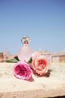 น้ำหอม BVLGARI Rose Goldea Blossom Delight edt 75ml.