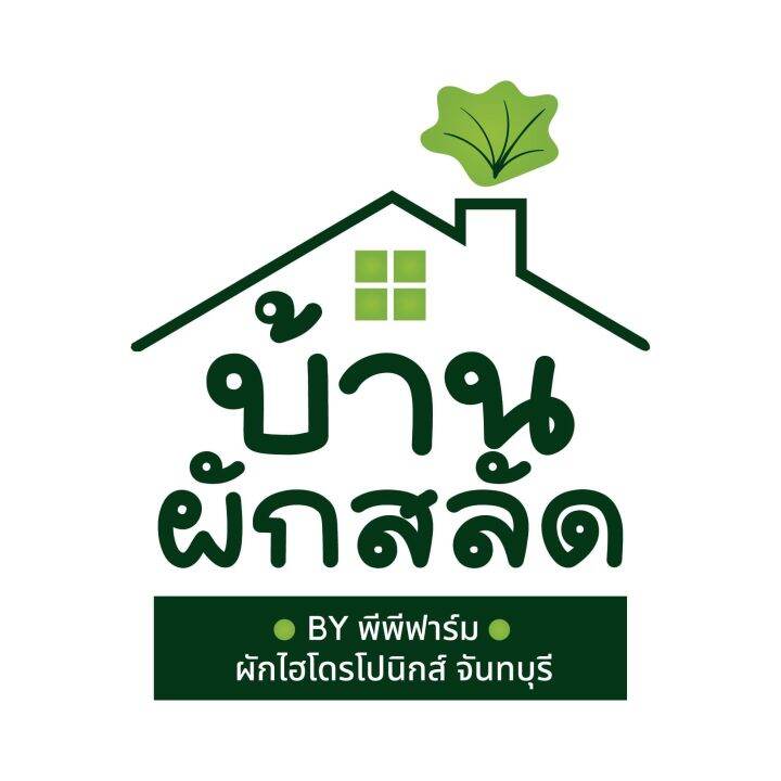 ฟิลเล่ย์ไอซ์เบิร์ก-แพ็ค-1-กก-ผักสด-สะอาด-ปลอดภัยไร้สารพิษ-จากพีพีฟาร์ม-ผักไฮโดรโปนิกส์-จันทบุรี