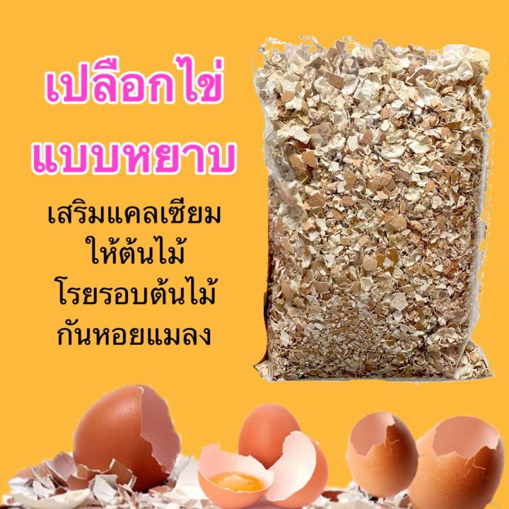 เปลือกไข่-เปลือกไข่บดละเอียด-ปุ๋ยจากเปลือกไข่