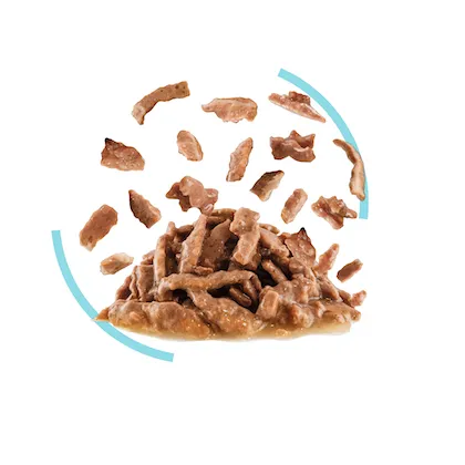 royal-canin-sensory-taste-chunks-in-gravy-12-ซอง-อาหารแมวโตช่างเลือก-กระตุ้นการกินด้วยกลิ่นหอม