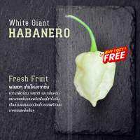 1แถม1 พริกสด White Giant Habanero Fresh fruits ขาวละมุนแต่เผ็ดกว่าทุกสี