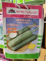 บวบหอม Smooth Loofah Seed ตะวันต้นกล้า