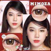 คอนแทคเลนส์ รุ่น Nudy 3 Tone / Mimoza สีเทา/ตาล Gray/Brown มีค่าสายตา (0.00) เปลี่ยนแทนทุกเดือน