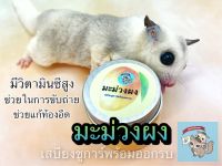 ( กระปุก MANGO POWDER ) มะม่วง มะม่วงผง ผลไม้ อาหาร สัตว์เล็ก ขนม ชูการ์ กระรอก แฮมสเตอร์ ดอร์เมาส์ บุชเบบี้